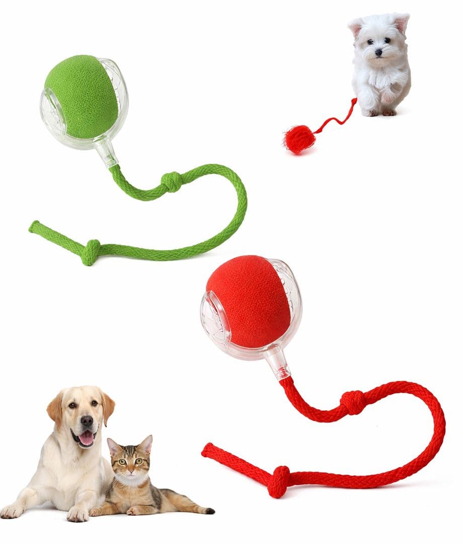 Pelota Interactiva Para Mascotas