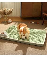 Cama Ortopédica para Mascotas Pro — Confort y Cuidado Articular
